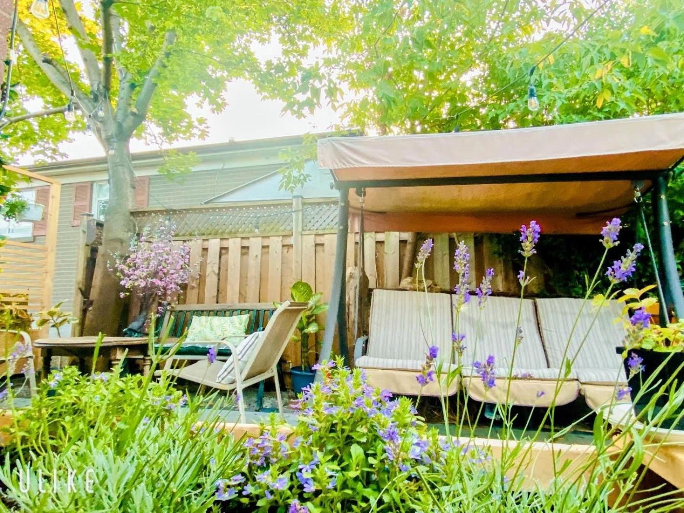 Toronto Bed & Breakfast - Free Parking Exteriér fotografie
