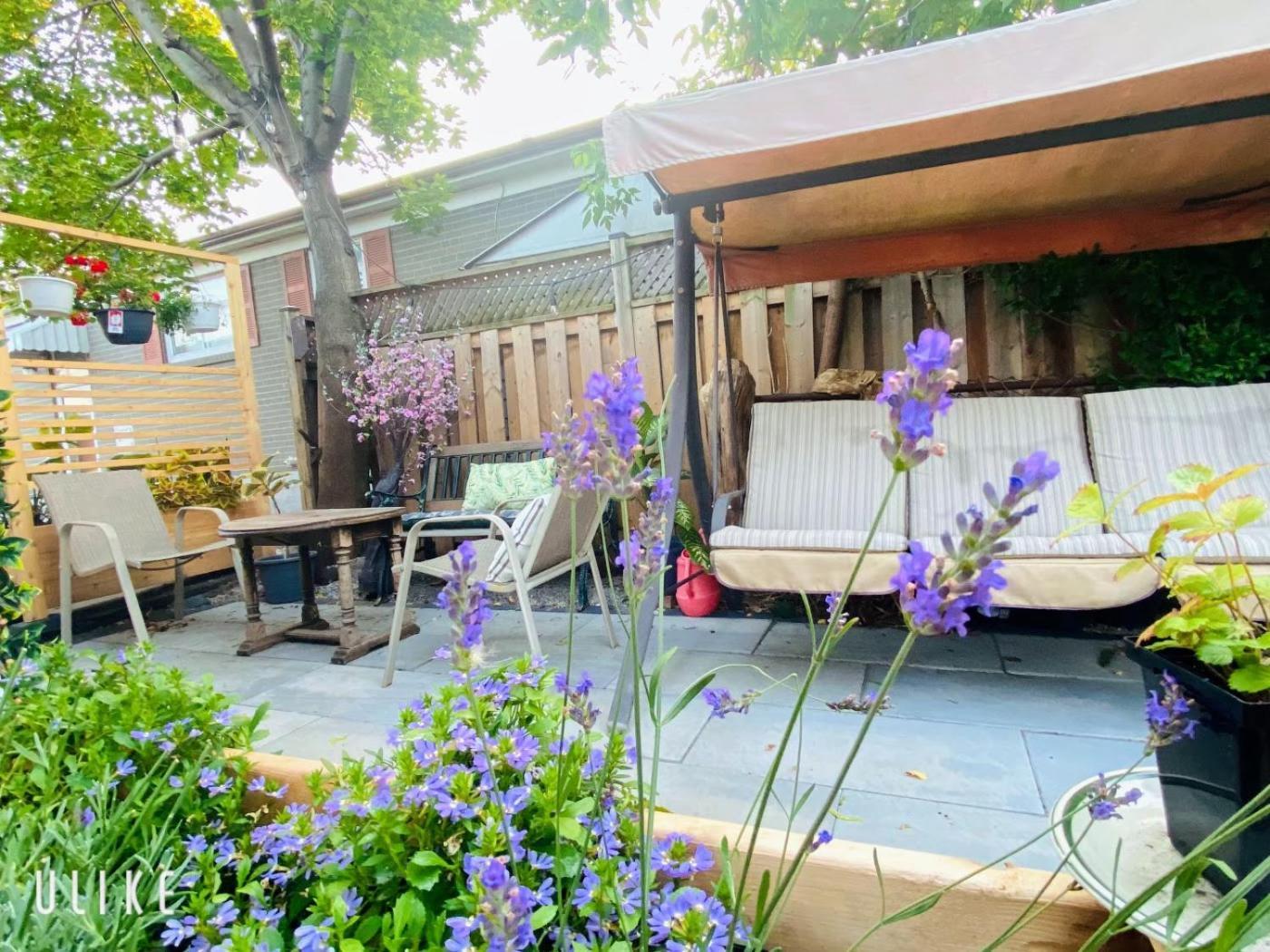 Toronto Bed & Breakfast - Free Parking Exteriér fotografie
